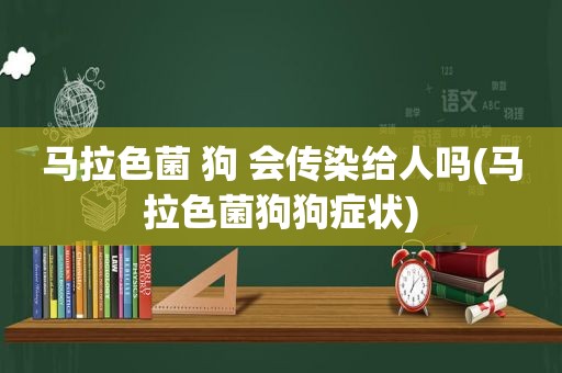 马拉色菌 狗 会传染给人吗(马拉色菌狗狗症状)