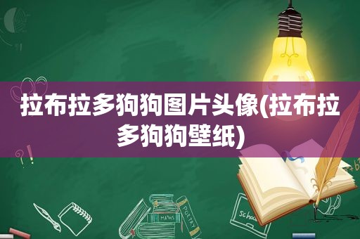 拉布拉多狗狗图片头像(拉布拉多狗狗壁纸)