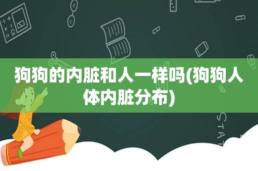 狗狗的内脏和人一样吗(狗狗人体内脏分布)