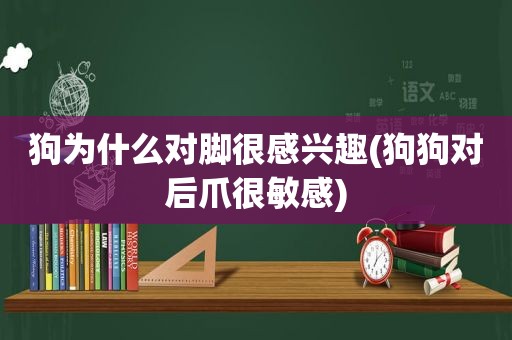 狗为什么对脚很感兴趣(狗狗对后爪很敏感)