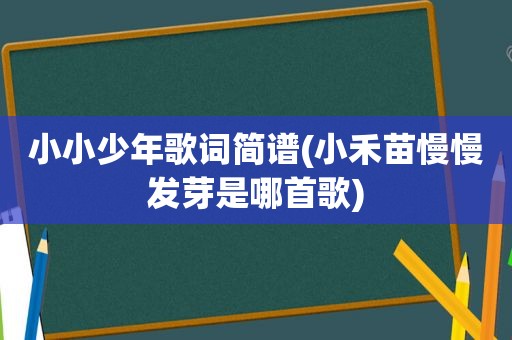 小小少年歌词简谱(小禾苗慢慢发芽是哪首歌)