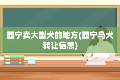 西宁卖大型犬的地方(西宁马犬转让信息)