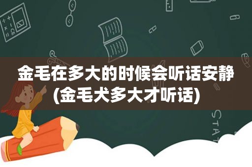 金毛在多大的时候会听话安静(金毛犬多大才听话)