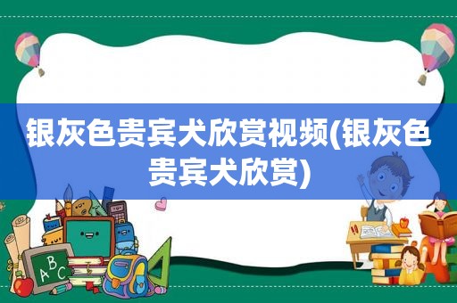 银灰色贵宾犬欣赏视频(银灰色贵宾犬欣赏)