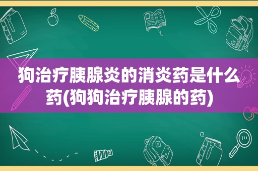 狗治疗胰腺炎的消炎药是什么药(狗狗治疗胰腺的药)