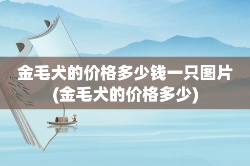 金毛犬的价格多少钱一只图片(金毛犬的价格多少)