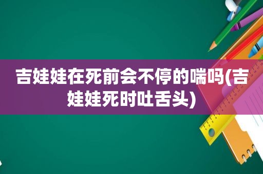 吉娃娃在死前会不停的喘吗(吉娃娃死时吐舌头)