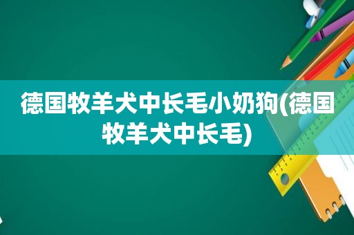 德国牧羊犬中长毛小奶狗(德国牧羊犬中长毛)