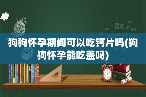 狗狗怀孕期间可以吃钙片吗(狗狗怀孕能吃盖吗)