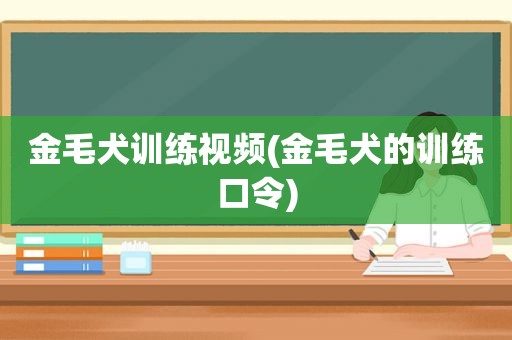 金毛犬训练视频(金毛犬的训练口令)