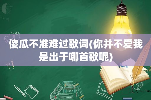 傻瓜不准难过歌词(你并不爱我是出于哪首歌呢)