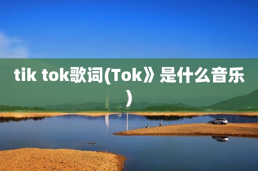 tik tok歌词(Tok》是什么音乐)