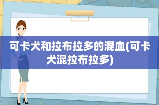 可卡犬和拉布拉多的混血(可卡犬混拉布拉多)