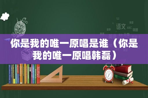 你是我的唯一原唱是谁（你是我的唯一原唱韩磊）