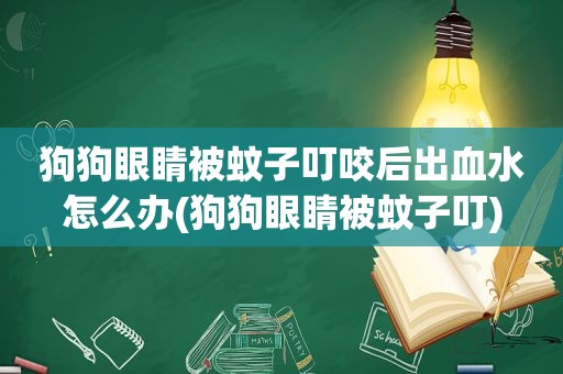 狗狗眼睛被蚊子叮咬后出血水怎么办(狗狗眼睛被蚊子叮)