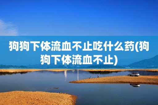 狗狗 *** 流血不止吃什么药(狗狗 *** 流血不止)