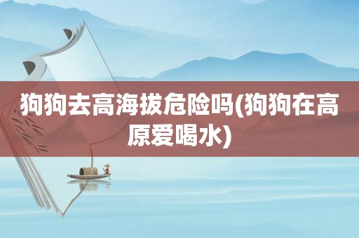 狗狗去高海拔危险吗(狗狗在高原爱喝水)