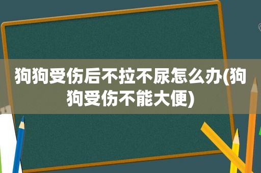 狗狗受伤后不拉不尿怎么办(狗狗受伤不能大便)