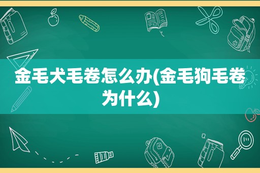 金毛犬毛卷怎么办(金毛狗毛卷为什么)