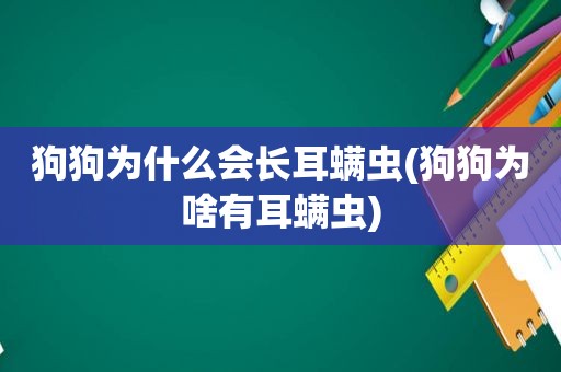 狗狗为什么会长耳螨虫(狗狗为啥有耳螨虫)