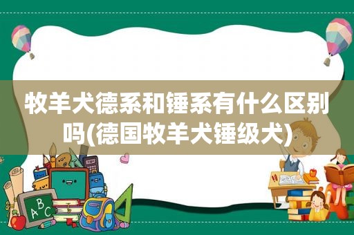 牧羊犬德系和锤系有什么区别吗(德国牧羊犬锤级犬)