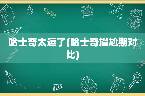 哈士奇太逗了(哈士奇尴尬期对比)