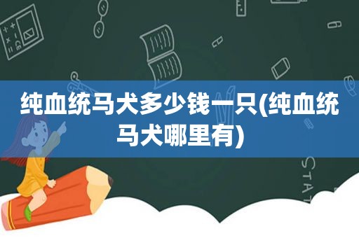 纯血统马犬多少钱一只(纯血统马犬哪里有)