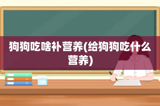 狗狗吃啥补营养(给狗狗吃什么营养)