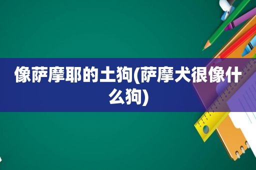 像萨摩耶的土狗(萨摩犬很像什么狗)