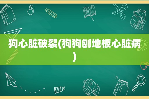 狗心脏破裂(狗狗刨地板心脏病)