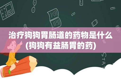 治疗狗狗胃肠道的药物是什么(狗狗有益肠胃的药)