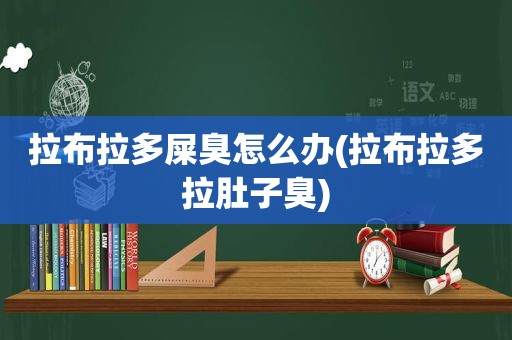 拉布拉多屎臭怎么办(拉布拉多拉肚子臭)