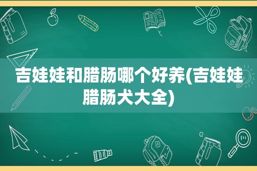 吉娃娃和腊肠哪个好养(吉娃娃腊肠犬大全)