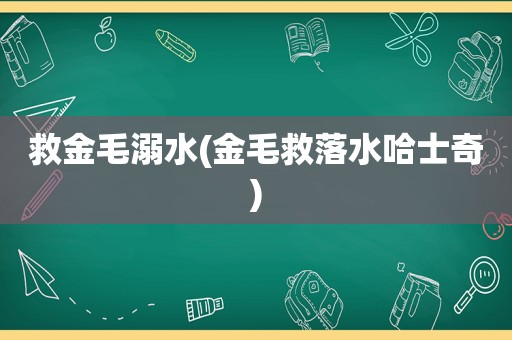 救金毛溺水(金毛救落水哈士奇)