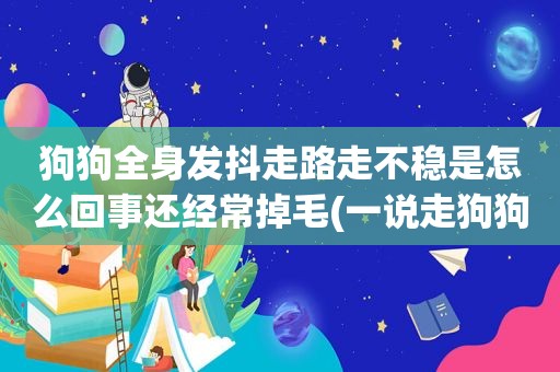 狗狗全身发抖走路走不稳是怎么回事还经常掉毛(一说走狗狗浑身抖)