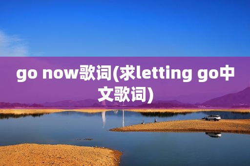 go now歌词(求letting go中文歌词)