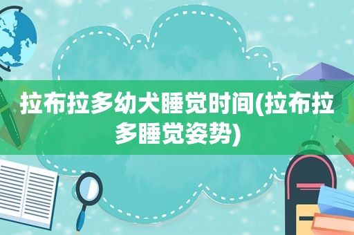 拉布拉多幼犬睡觉时间(拉布拉多睡觉姿势)