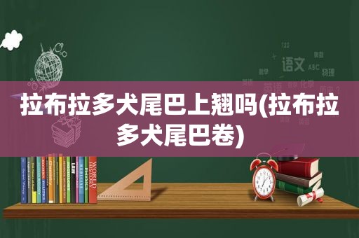 拉布拉多犬尾巴上翘吗(拉布拉多犬尾巴卷)