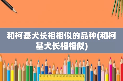 和柯基犬长相相似的品种(和柯基犬长相相似)