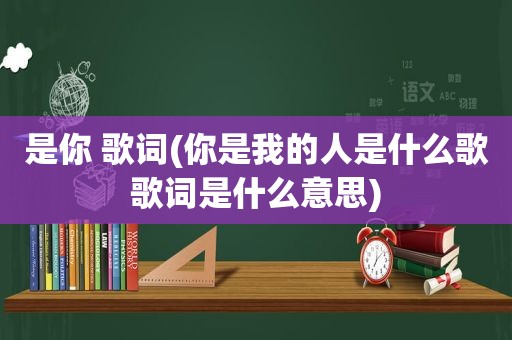 是你 歌词(你是我的人是什么歌歌词是什么意思)