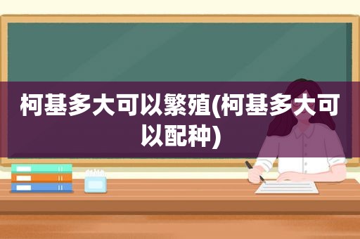 柯基多大可以繁殖(柯基多大可以配种)