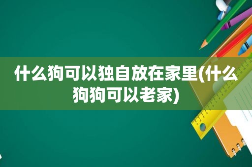 什么狗可以独自放在家里(什么狗狗可以老家)