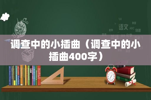 调查中的小插曲（调查中的小插曲400字）