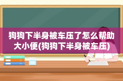 狗狗下半身被车压了怎么帮助大小便(狗狗下半身被车压)