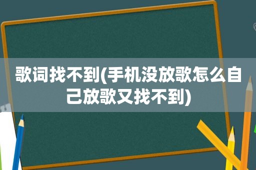 歌词找不到(手机没放歌怎么自己放歌又找不到)