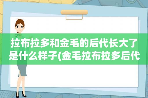 拉布拉多和金毛的后代长大了是什么样子(金毛拉布拉多后代)