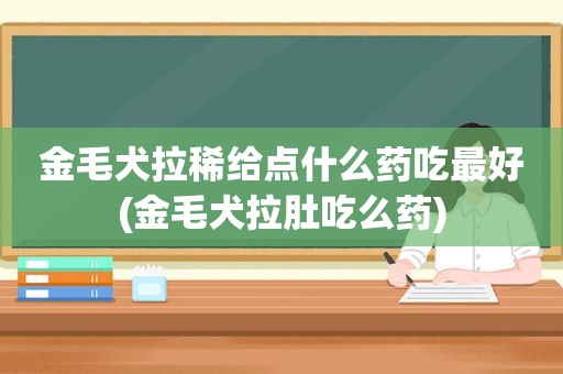 金毛犬拉稀给点什么药吃最好(金毛犬拉肚吃么药)