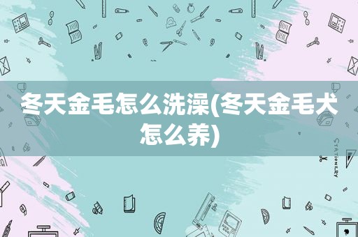 冬天金毛怎么洗澡(冬天金毛犬怎么养)