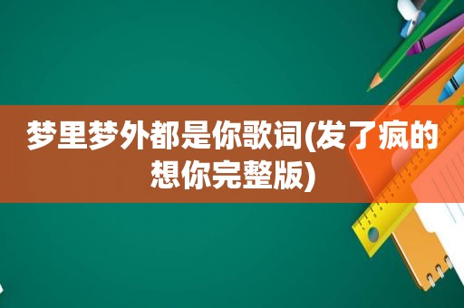 梦里梦外都是你歌词(发了疯的想你完整版)