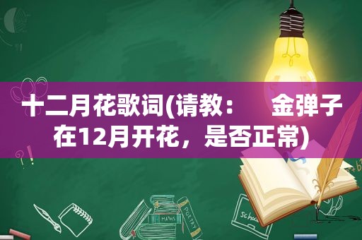 十二月花歌词(请教：　金弹子在12月开花，是否正常)